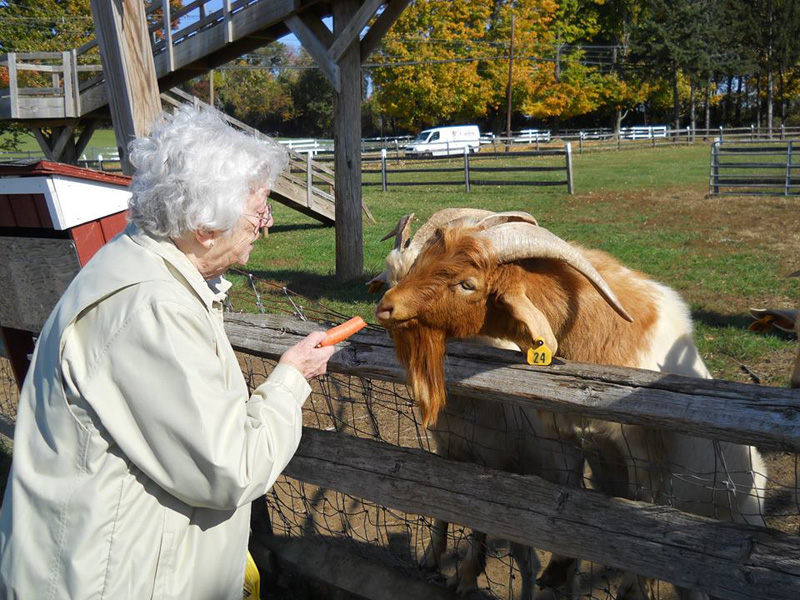 Sister Elizabeth Marie Mason, OP (Caldwell) treats a goat to a carrot on a recent outing to Alstede Farms in Chester, New Jersey. Follow the Dominican Sisters of Caldwell on Facebook