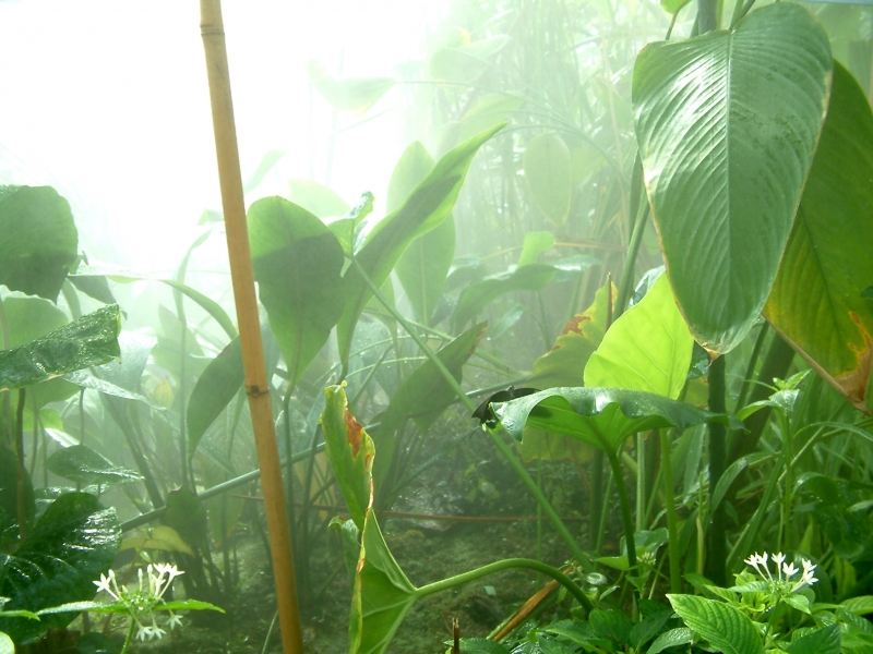 iStock_000000195913Small