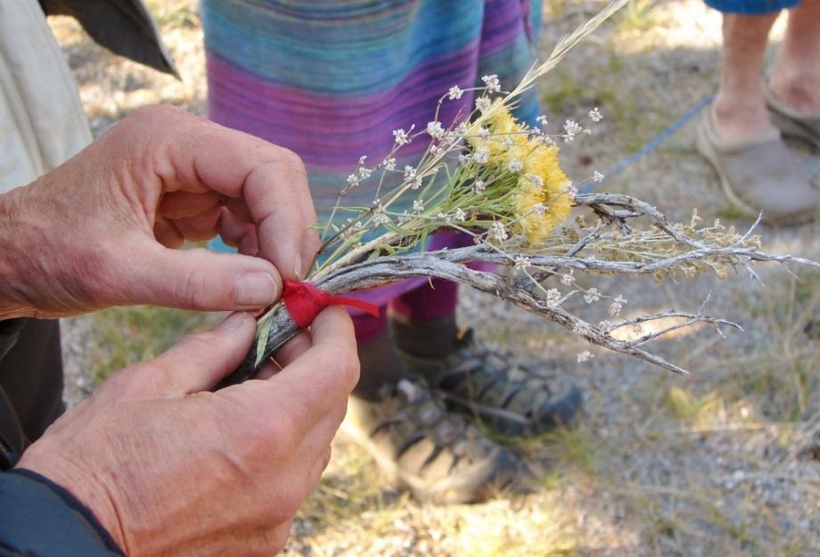 gsr galiardi flowers