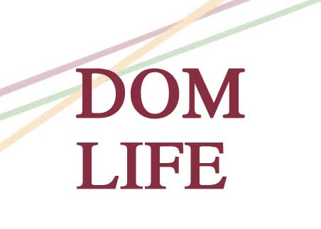 DomLife